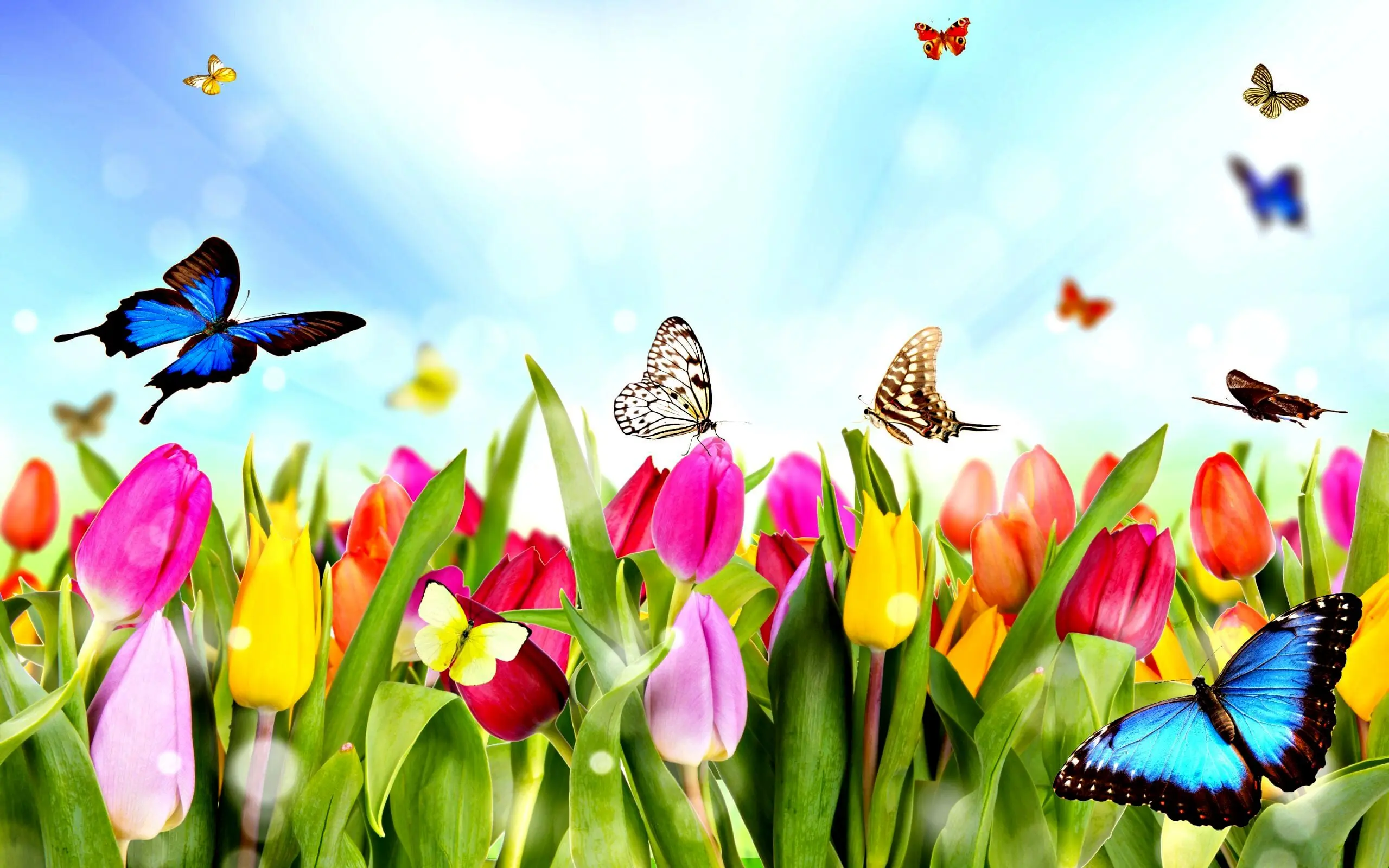 پیام‌های رسمی و اداری تبریک نوروز ۱۴۰۴ | متن‌های حرفه‌ای و محترمانه