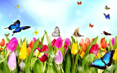 پیام‌های رسمی و اداری تبریک نوروز ۱۴۰۴ | متن‌های حرفه‌ای و محترمانه