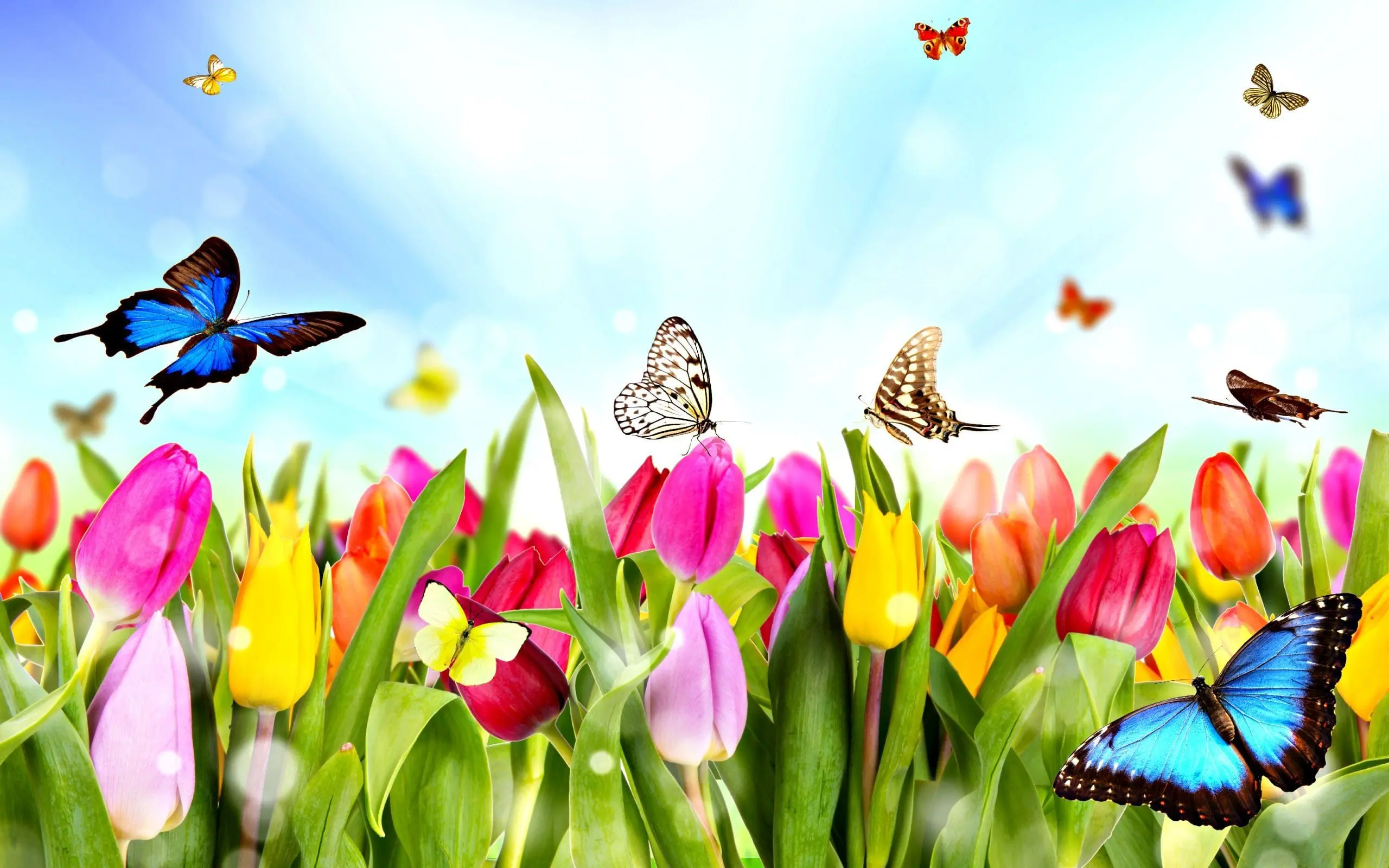پیام‌های رسمی و اداری تبریک نوروز ۱۴۰۴ | متن‌های حرفه‌ای و محترمانه