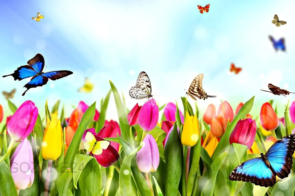 پیام‌های رسمی و اداری تبریک نوروز ۱۴۰۴ | متن‌های حرفه‌ای و محترمانه
