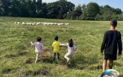 رونالدو فوتبال را کنار گذاشت و به یک قصاب متفاوت تبدیل شد! + عکس و تصاویر خلاقانه کاربران فضای مجازی