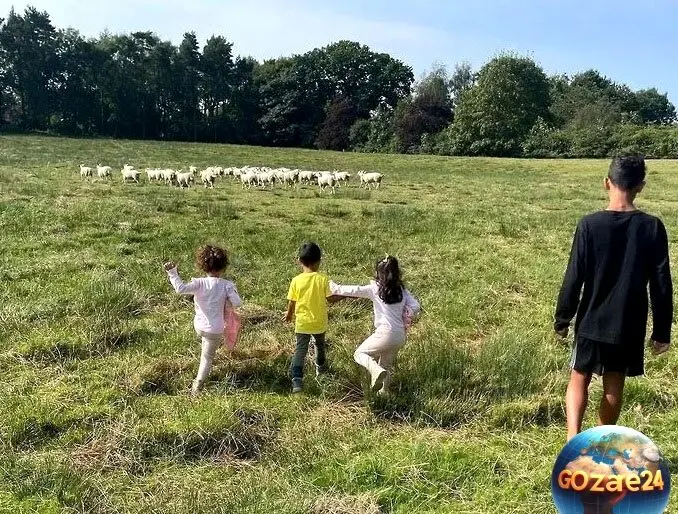 رونالدو فوتبال را کنار گذاشت و به یک قصاب متفاوت تبدیل شد! + عکس و تصاویر خلاقانه کاربران فضای مجازی