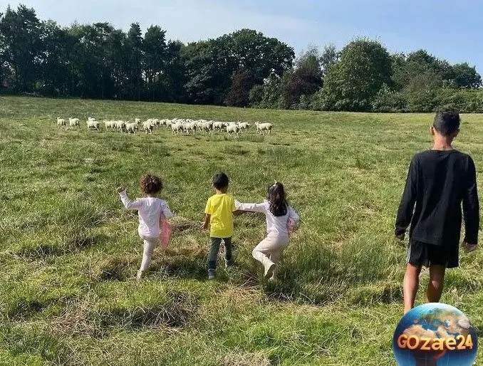 رونالدو فوتبال را کنار گذاشت و به یک قصاب متفاوت تبدیل شد! + عکس و تصاویر خلاقانه کاربران فضای مجازی