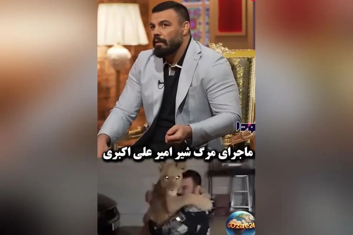 ماجرای تلخ مرگ شیر خانگی امیر علی‌اکبری: کشتی‌گیر معروف درگیر جنجال حیوانات خانگی و روایت‌های عجیب