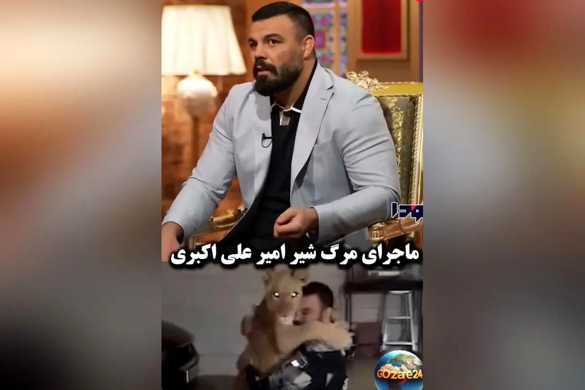 ماجرای تلخ مرگ شیر خانگی امیر علی‌اکبری: کشتی‌گیر معروف درگیر جنجال حیوانات خانگی و روایت‌های عجیب