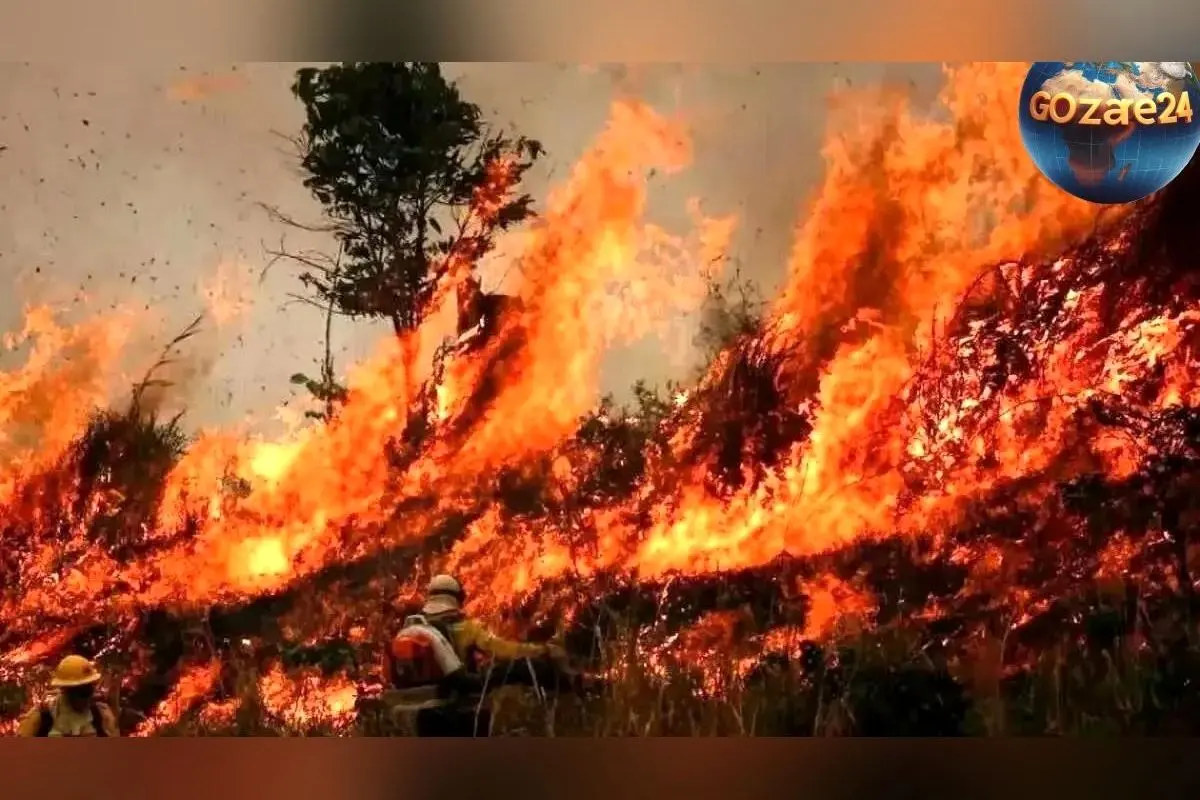آتش‌سوزی در جنگل‌های الیت چالوس؛ هشدار جدی برای نابودی طبیعت بکر مازندران