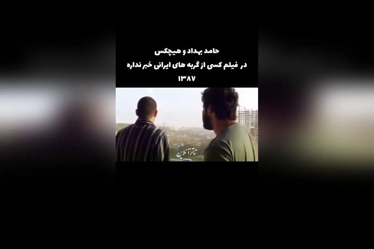 کشف فیلم نادر و متفاوت درباره گربه‌های ایرانی با بازی حامد بهداد و موسیقی زیرزمینی در کارگردانی بهمن قبادی