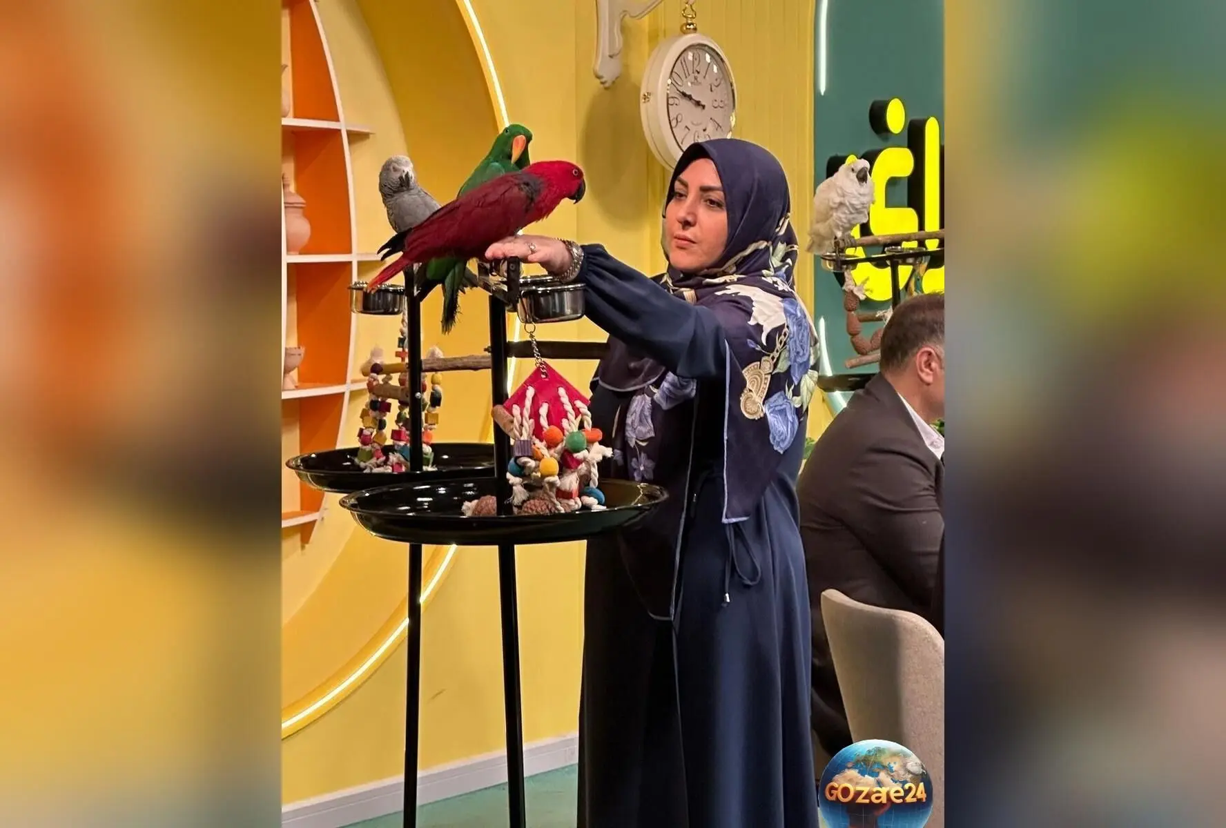 شهریه ۱۷۵ میلیون تومانی برای ثبت‌نام پسر مجری صبحانه ایرانی؛ آیا نابرابری آموزشی در ایران بیشتر شده است؟