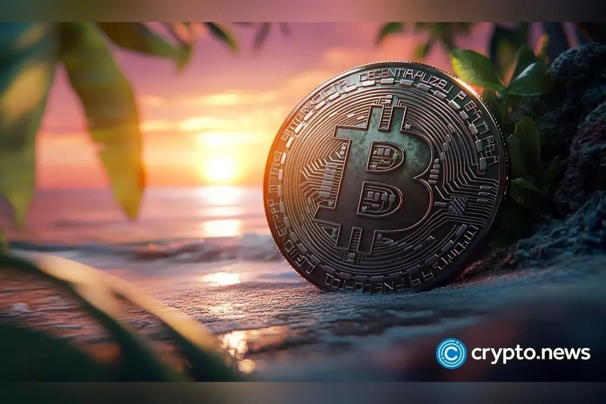 رشد سرمایهگذاری در بیتکوین ETF نسبت به اتریوم در روند نزولی بازار رمزارزها: آیا بیتکوین جایگزین امنتر است؟