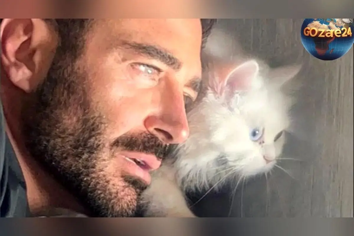 (عکس) شباهت عجیب رنگ چشم محمدرضا گلزار و گربه‌اش؛ ست کردن رنگ چشم ستاره محبوب با حیوان خانگی‌اش در فضای مجازی