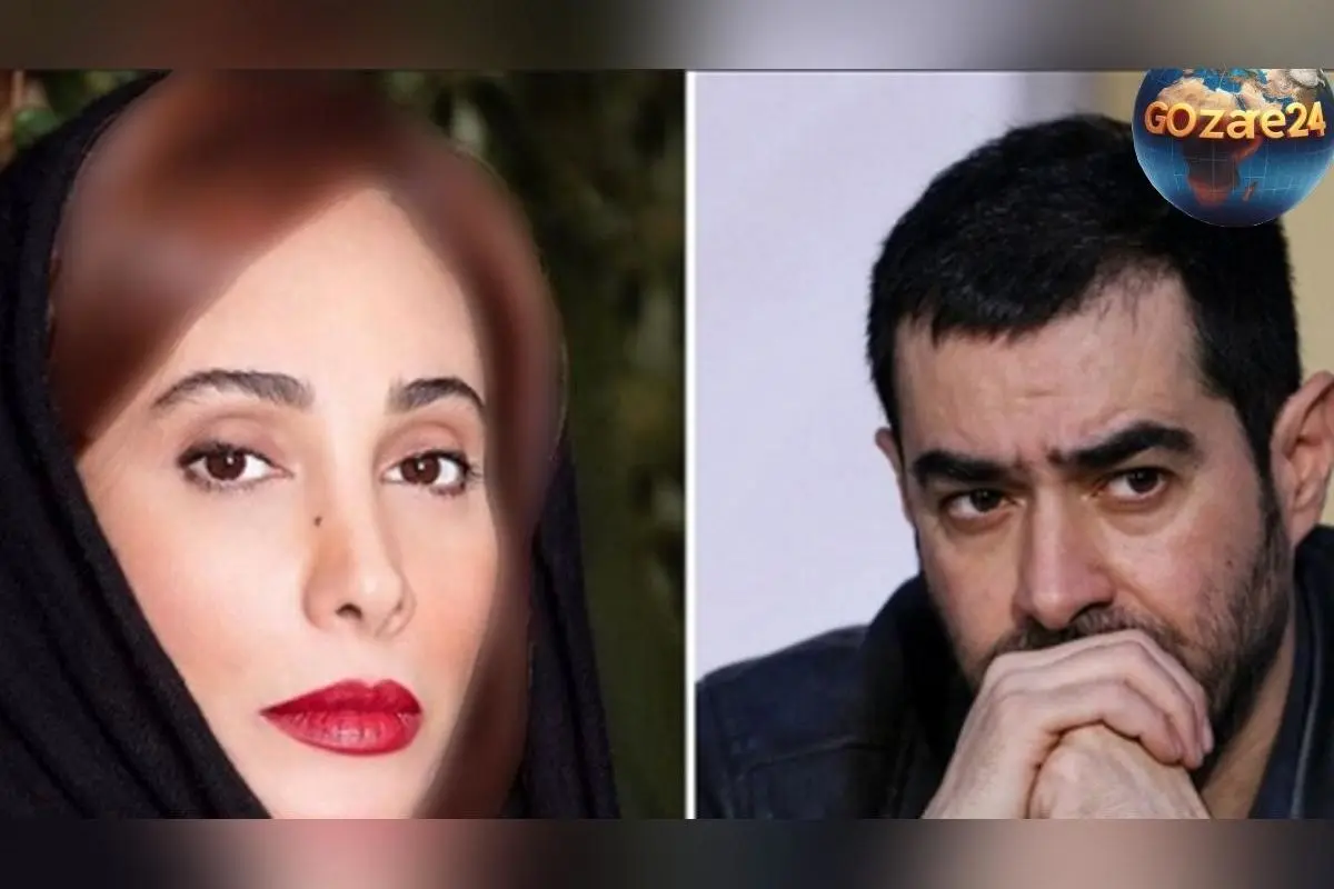 سحر زکریا از شهاب حسینی به عنوان مهاجم خیابانی و الفاظ رکیک افشاگری کرد: «چه می‌دانید در خیابان بر من چه گذشته است؟»