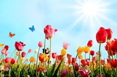جدیدترین پیام‌های تبریک نوروز ۱۴۰۴ | متن‌های خاص، جدید و متفاوت برای سال نو