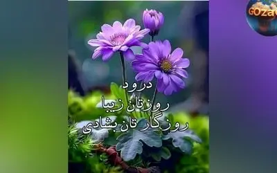 فال روزانه ۱۳ خرداد ۱۴۰۲ | پیش‌بینی‌های دقیق و نکات مهم برای متولدین هر ماه