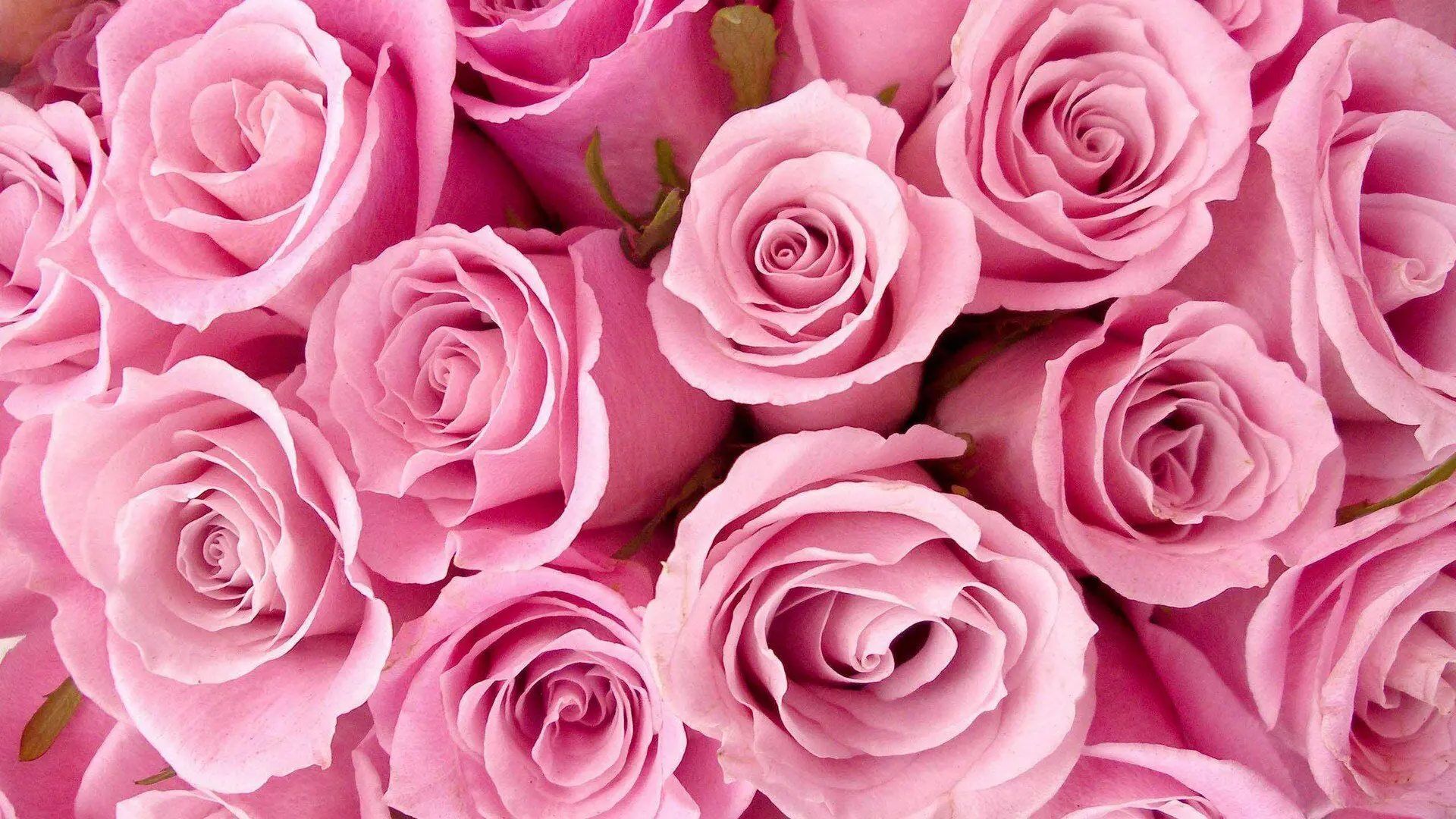 جملات شاعرانه و ادبی برای تبریک روز دختر
