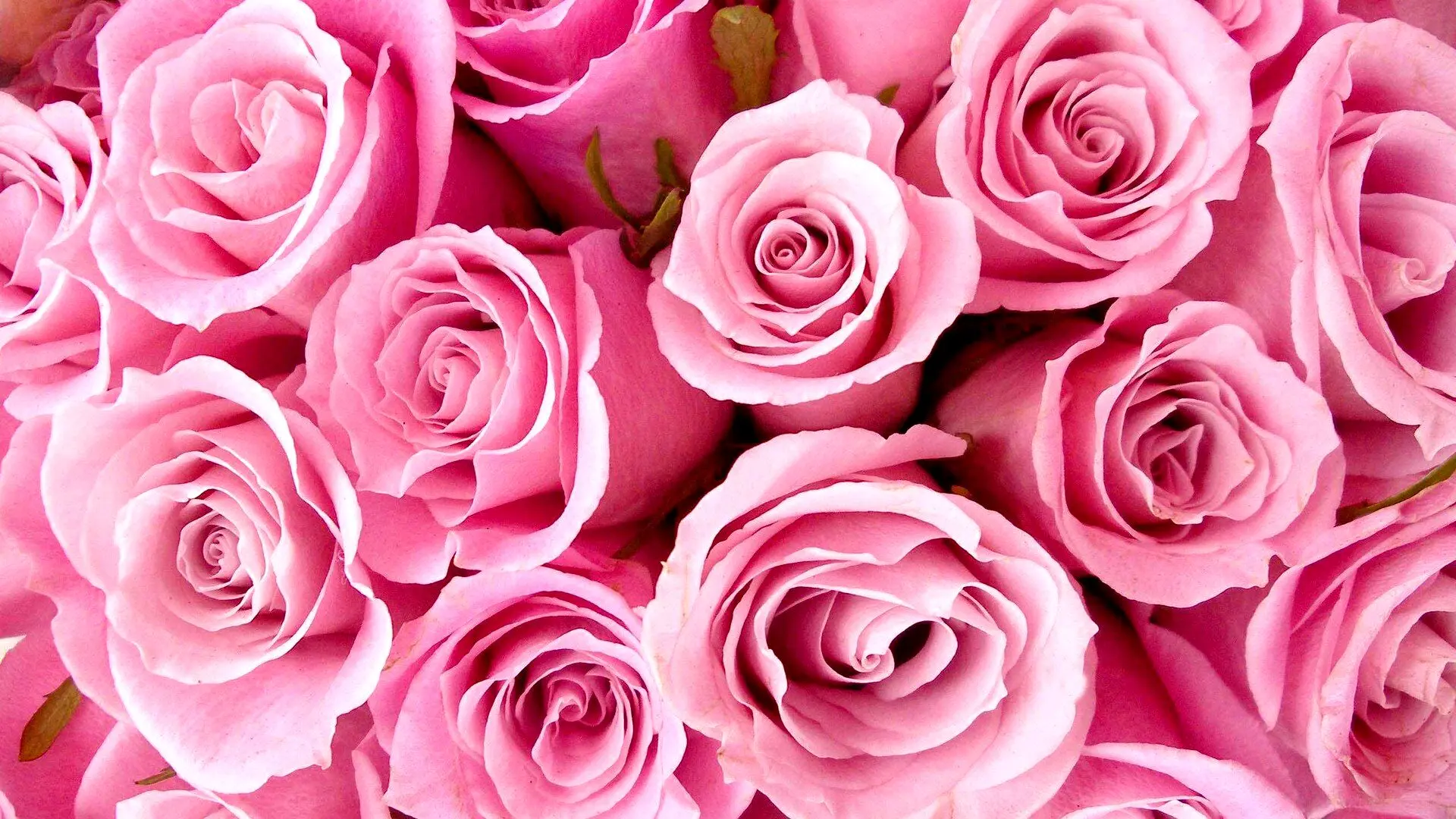 جملات شاعرانه و ادبی برای تبریک روز دختر