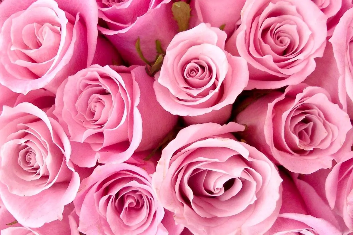 جملات شاعرانه و ادبی برای تبریک روز دختر