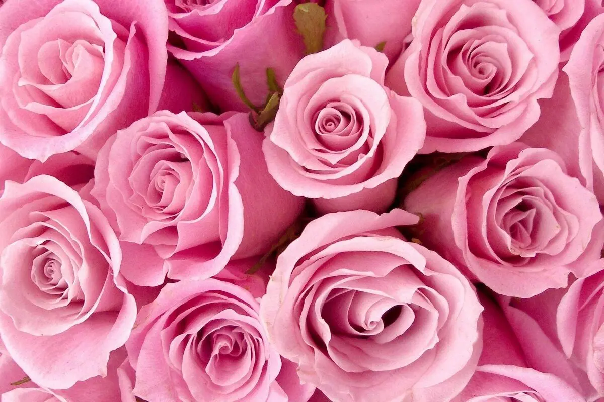 جملات شاعرانه و ادبی برای تبریک روز دختر