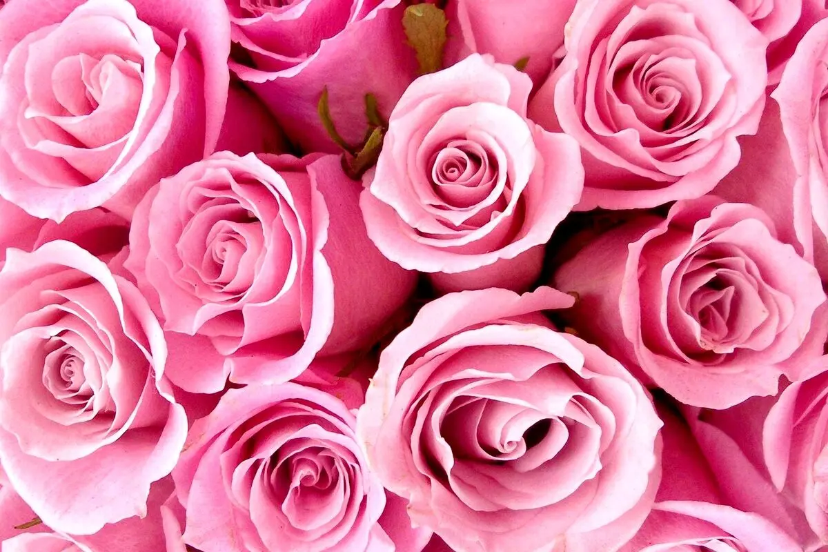 جملات شاعرانه و ادبی برای تبریک روز دختر