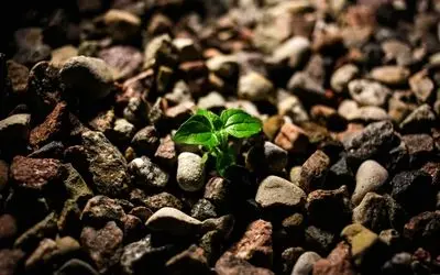 جملات الهام‌بخش روز ۸ تیر ۱۴۰۴ | فرصتی دوباره برای توازن