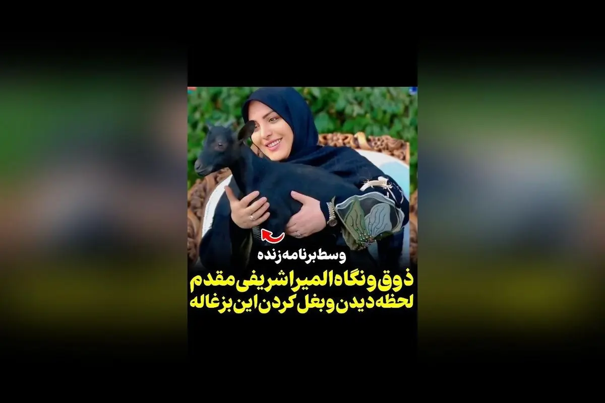واکنش المیرا شریفی مقدم به دیدن بزغاله در آنتن زنده؛ لحظه‌ای جالب و پر از ذوق در رسانه سکانس‌تی‌وی