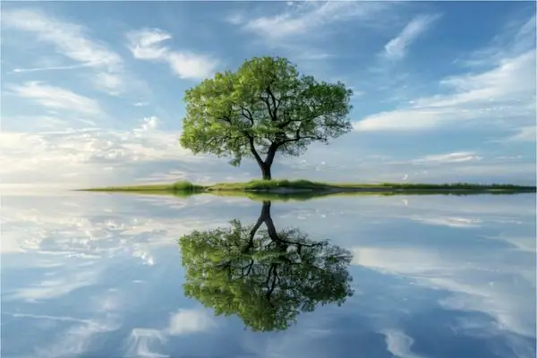 جملات الهام‌بخش روز ۱۱ تیر ۱۴۰۴ | سکوتی برای شکوفایی درون