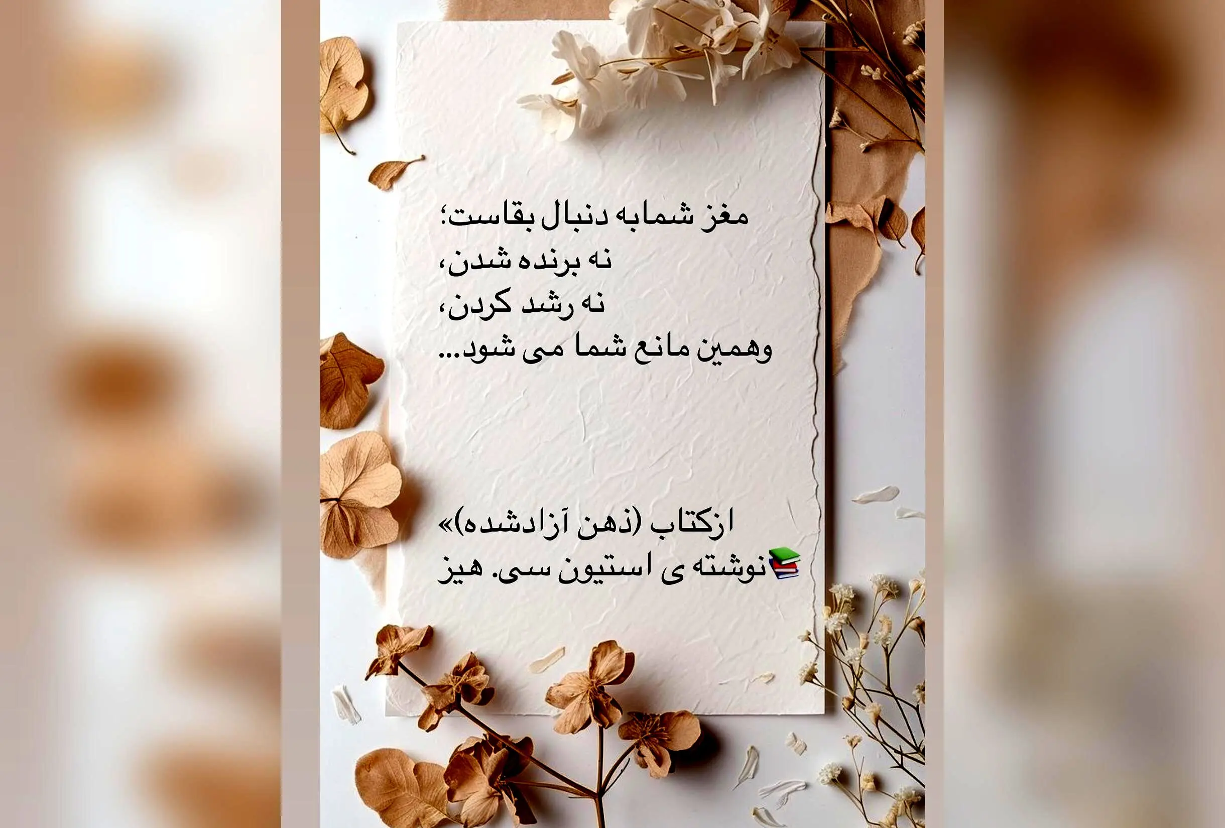کتاب «ذهن آزادشده» اثر استیون هیز: راهی برای غلبه بر استرس، ترس و اضطراب و ساختن زندگی معنادار