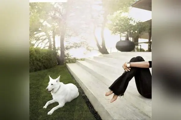 خانه لوکس و مدرن جنیفر آنیستون در لس آنجلس؛ طراحی داخلی، بالکن زیبا و دکوراسیون مینیمال