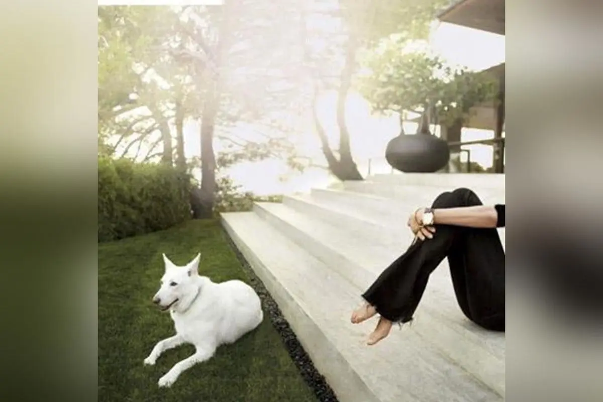 خانه لوکس و مدرن جنیفر آنیستون در لس آنجلس؛ طراحی داخلی، بالکن زیبا و دکوراسیون مینیمال