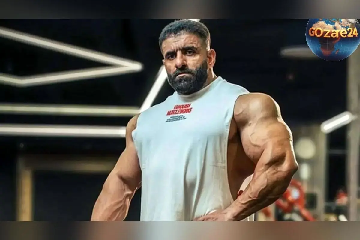 هادی چوپان با طراحی خلاقانه باشگاه بدنسازی در شیراز، نشان داد هنر و استعداد ایرانی همچنان درخشان است