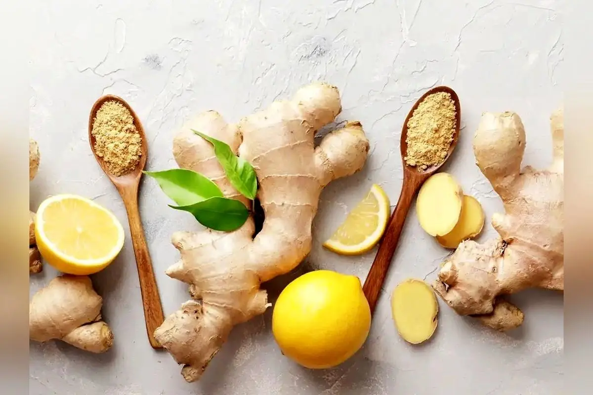آب زنجبیل برای لاغری فوری: روشهای مصرف، خواص علمی و نکات مهم سلامتی