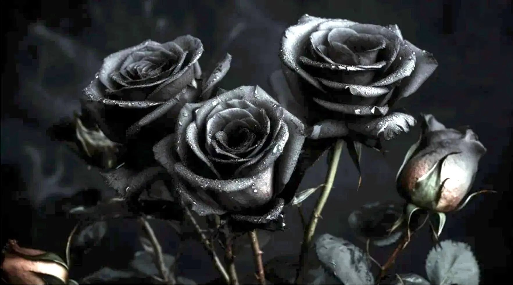 پیام‌های تبریک نوروز برای عزیزان درگذشته | جملات احساسی و خاص