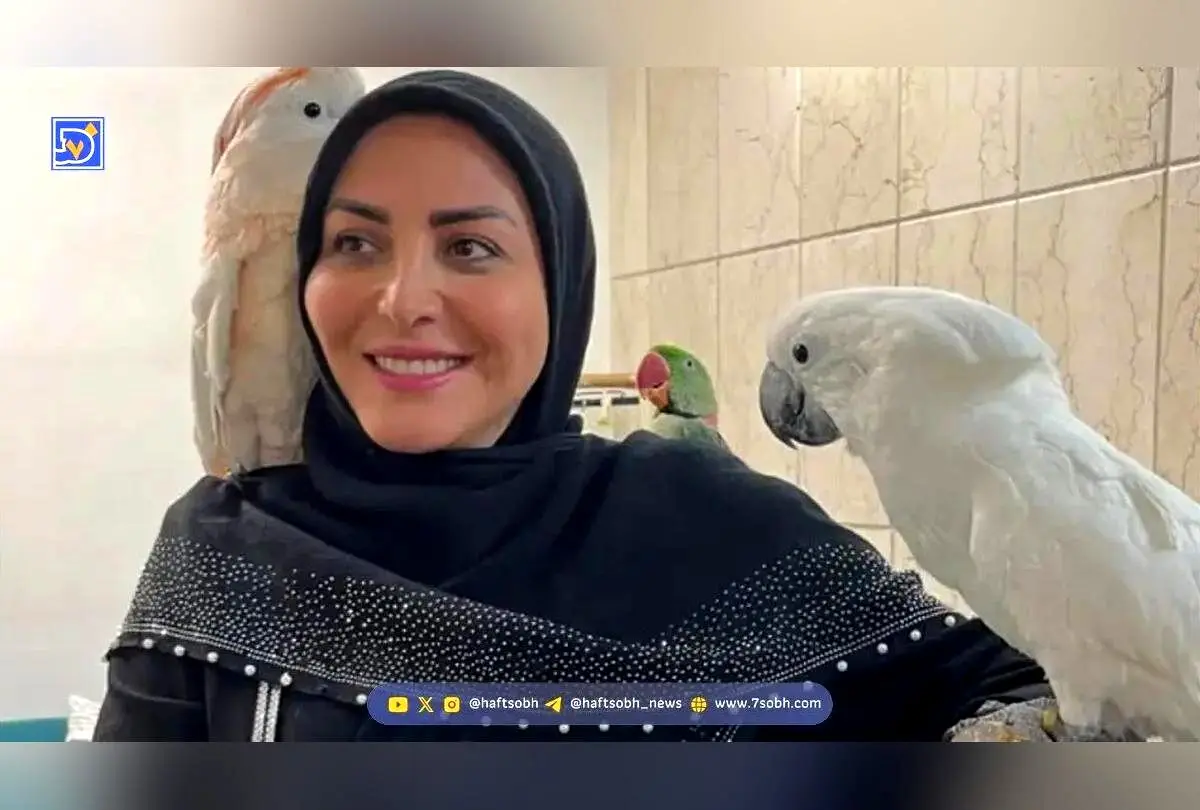 تصویر جشن تولد المیرا شریفی مقدم، مجری محبوب شبکه خبر و داستان زندگی او