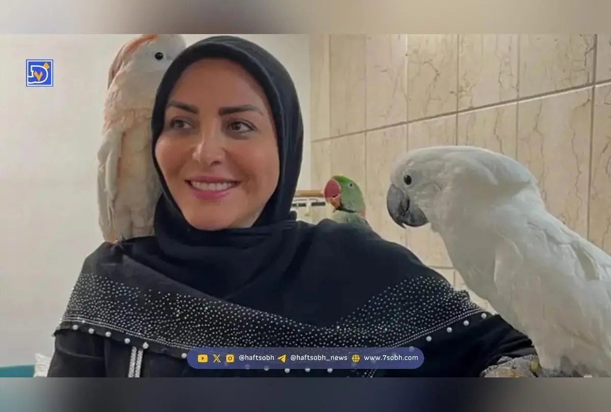 تصویر جشن تولد المیرا شریفی مقدم، مجری محبوب شبکه خبر و داستان زندگی او