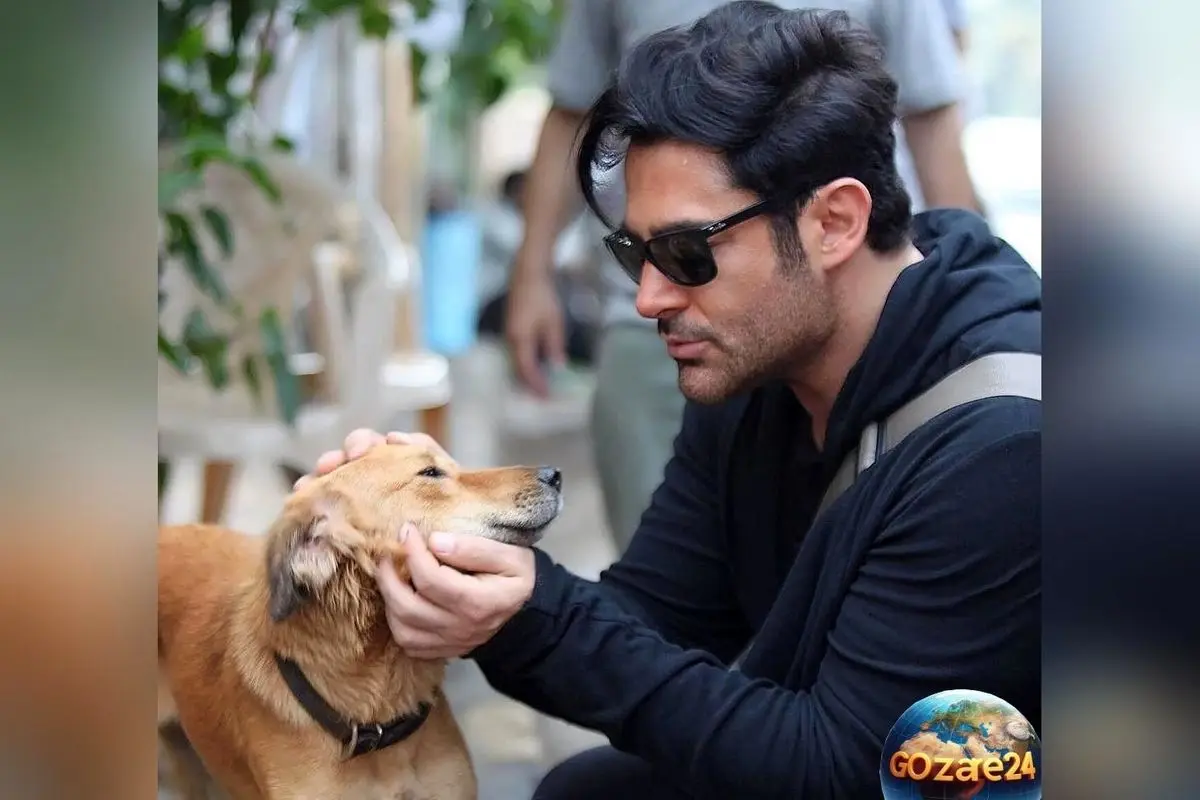 عکسهای جنجالی و دیدنی محمدرضا گلزار در گذر زمان؛ جذابیت بینظیر و پیامهای انگیزشی او