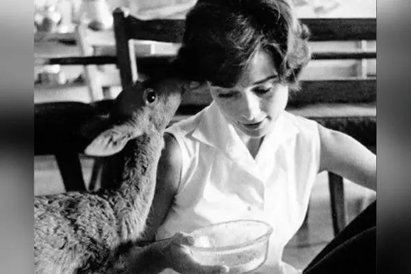 تصویر آرام‌بخش از خانه ادری هیپبورن در دهه ۵۰ میلادی؛ نماد زیبایی، ظرافت و محبت در کنار آهو خانگی