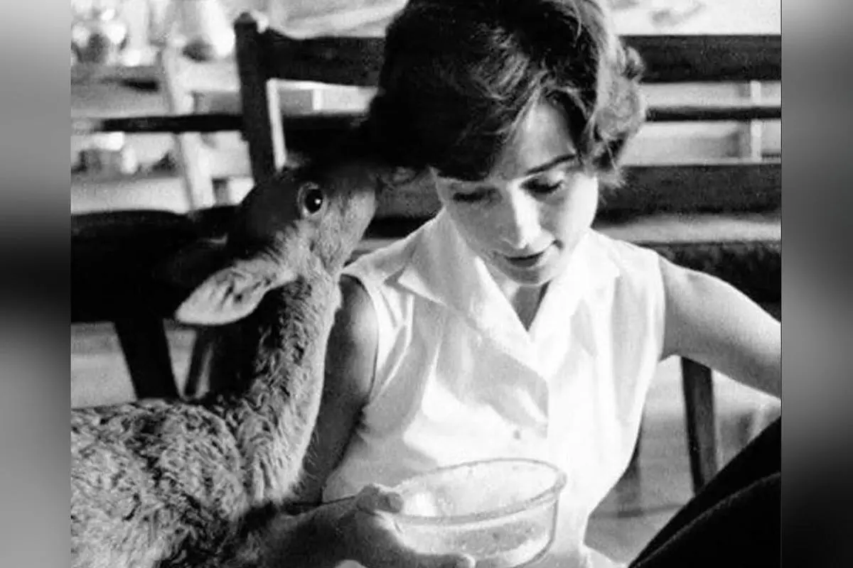 تصویر آرام‌بخش از خانه ادری هیپبورن در دهه ۵۰ میلادی؛ نماد زیبایی، ظرافت و محبت در کنار آهو خانگی