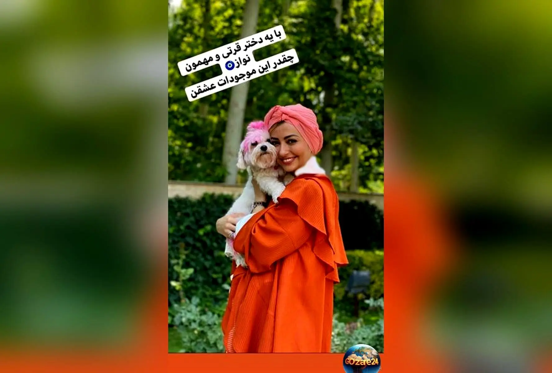 نفیسه روشن در لایو جدیدش غذای سگ‌های ولگرد را می‌دهد و از بی‌رحمی تروریست‌ها گلایه می‌کند!