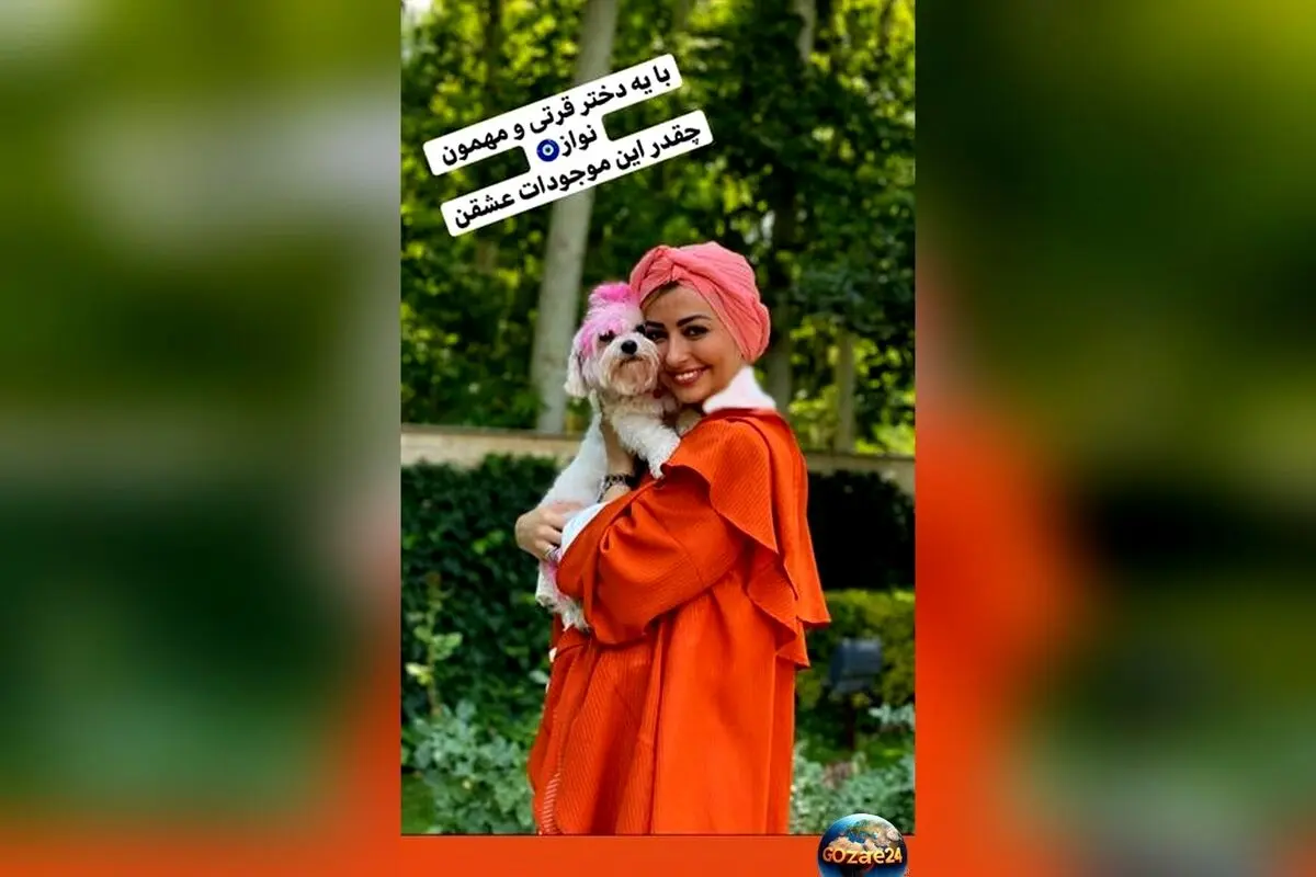 نفیسه روشن در لایو جدیدش غذای سگ‌های ولگرد را می‌دهد و از بی‌رحمی تروریست‌ها گلایه می‌کند!