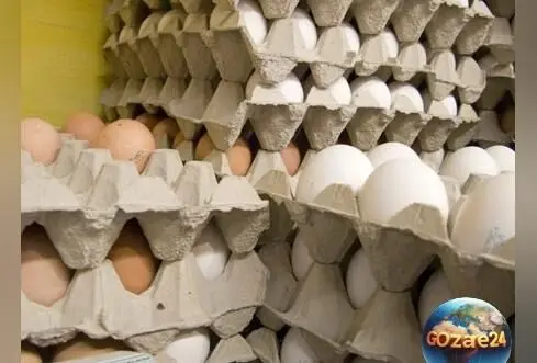 خلاقیت بامزه با شانه تخم مرغ در ورزشگاه اراک؛ واکنش‌های جالب به عایق صوتی صدا و سیما+ فیلم