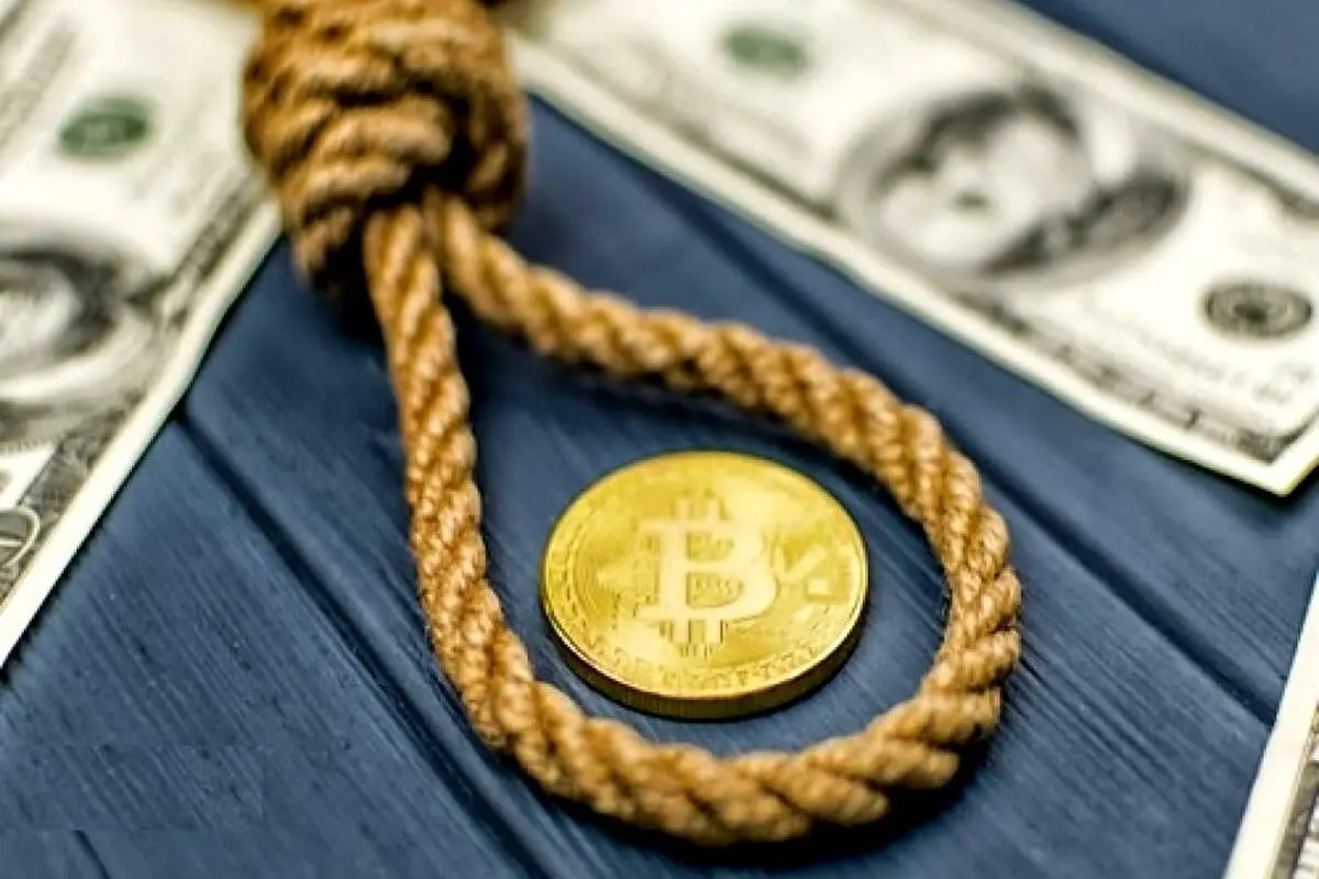 با دیدن این فیلم  میخکوب خواهید شد!
