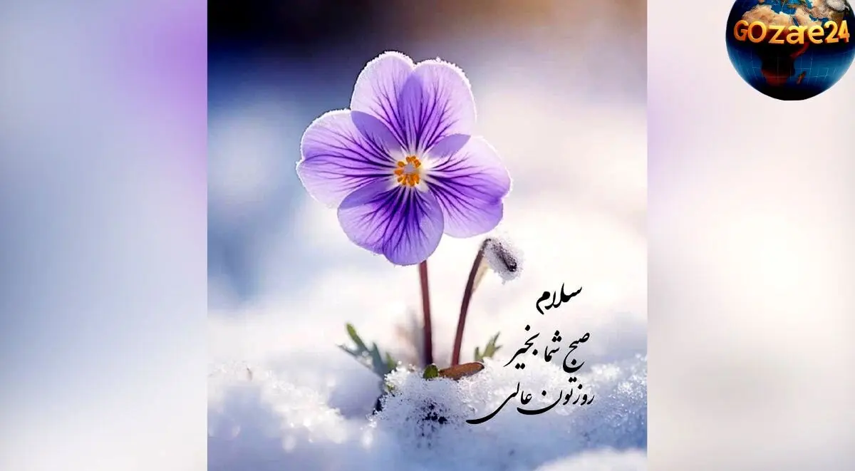 فال روزانه 16 خرداد 1402 | پیش‌بینی دقیق و نکات مهم روز برای هر ماه و شخصیت شما