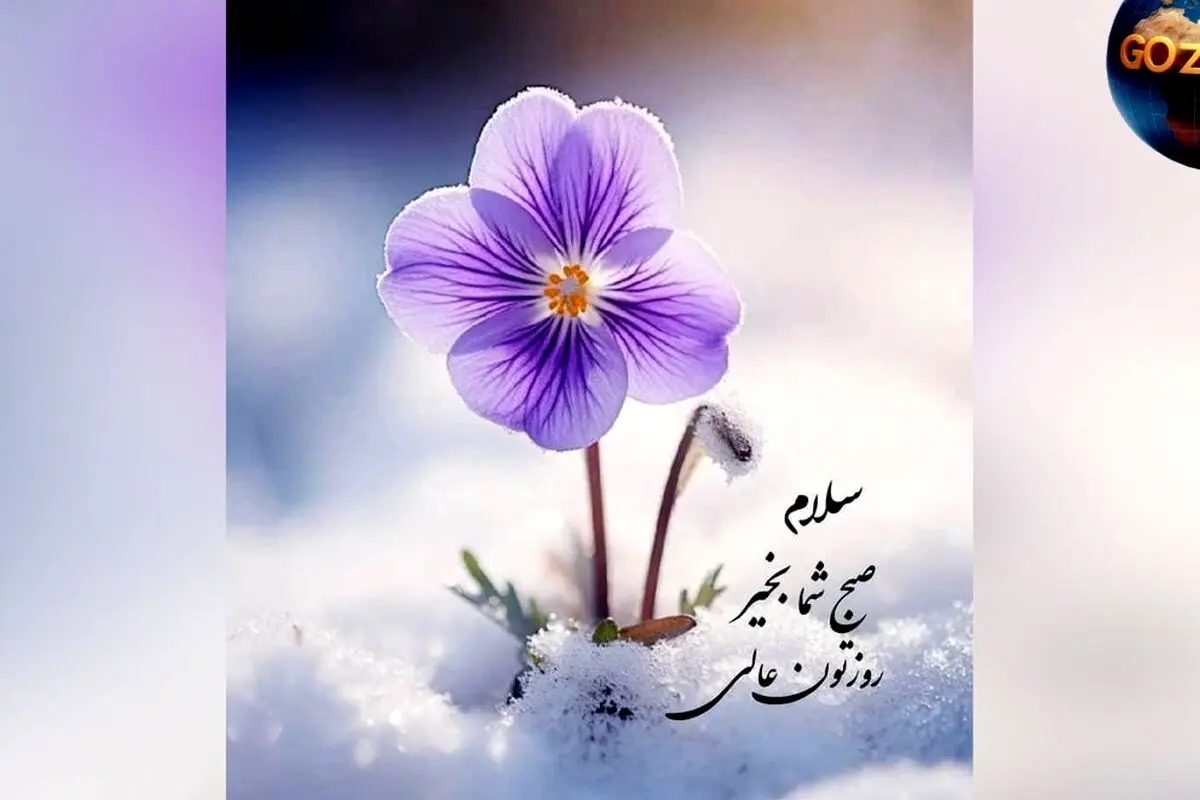فال روزانه 16 خرداد 1402 | پیش‌بینی دقیق و نکات مهم روز برای هر ماه و شخصیت شما