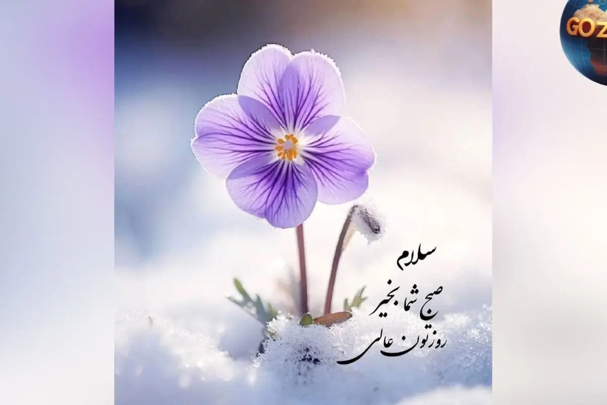 فال روزانه 16 خرداد 1402 | پیش‌بینی دقیق و نکات مهم روز برای هر ماه و شخصیت شما