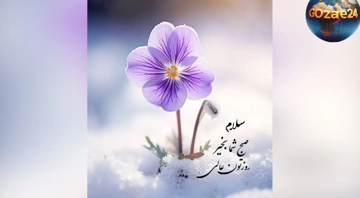 فال روزانه 16 خرداد 1402 | پیش‌بینی دقیق و نکات مهم روز برای هر ماه و شخصیت شما