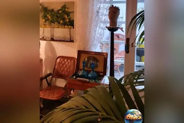 مدرن‌ترین و شیک‌ترین انتخاب‌های هنرمندان زن ایرانی برای تزئین خانه با گلدان‌های دکوری خلاقانه و زیبا