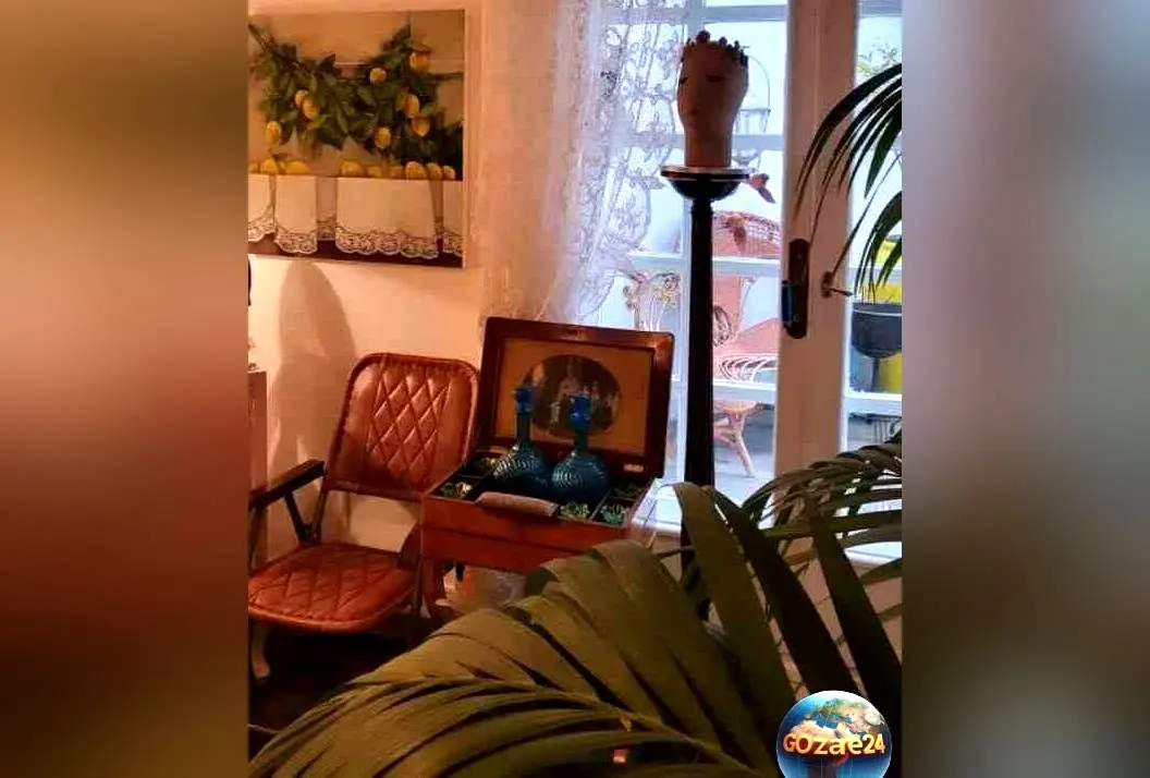 مدرن‌ترین و شیک‌ترین انتخاب‌های هنرمندان زن ایرانی برای تزئین خانه با گلدان‌های دکوری خلاقانه و زیبا