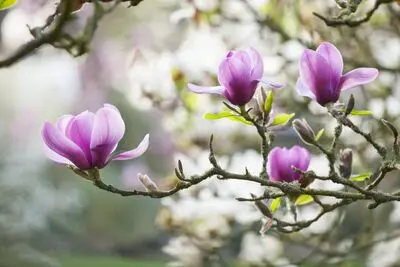 متن‌های کوتاه برای بیو، استوری و کپشن نوروز | خاص، جدید و متفاوت برای عید نوروز و سال نو