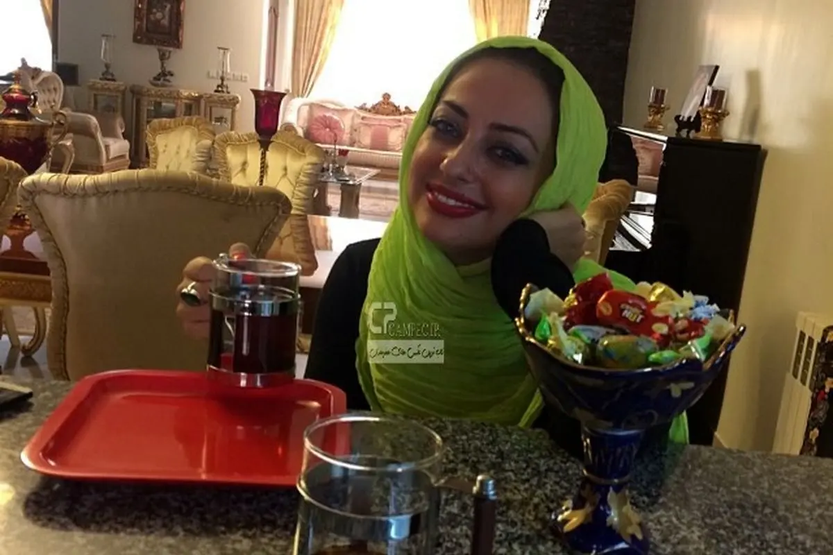 نفیسه روشن درباره قطعی برق و ناتوانی در پاسخگویی به مشکلات لوازم خانگی: «کل سال برق نداریم»
