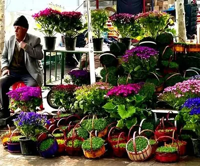پیام‌های تبریک نوروز با حال و هوای نوستالژیک | یادآور خاطرات شیرین عید