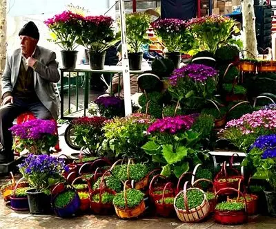 پیام‌های تبریک نوروز با حال و هوای نوستالژیک | یادآور خاطرات شیرین عید